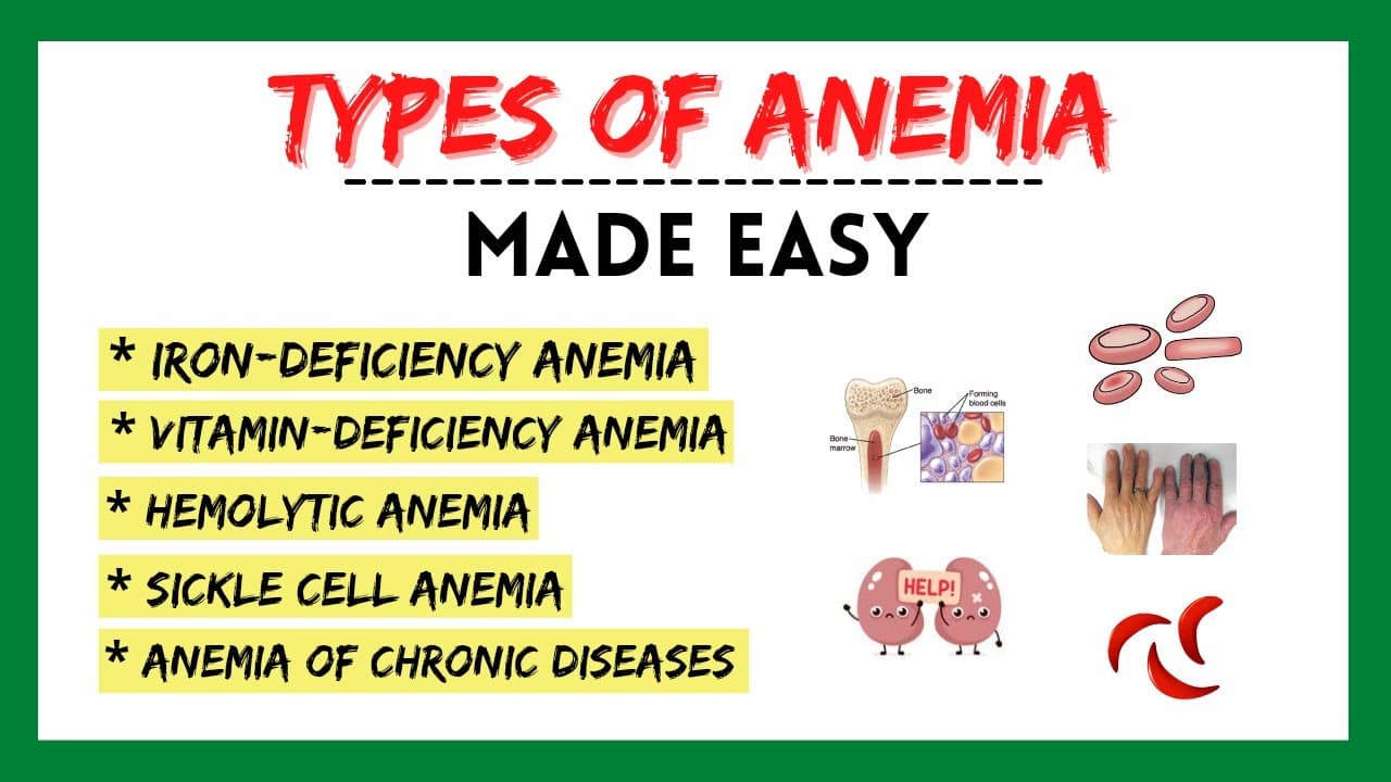 Understanding Anemia: Types, Symptoms, and Causes | Galaxy.ai | Galaxy.ai