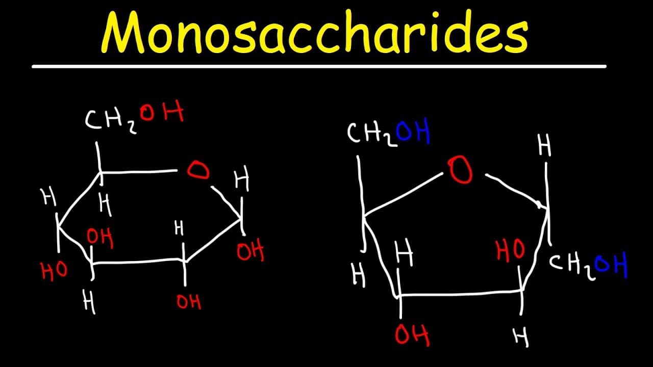 Glucose Pyranose Haworth projection Fructose Structure, cram, angle, white,  text png | PNGWing, image size:1280x720