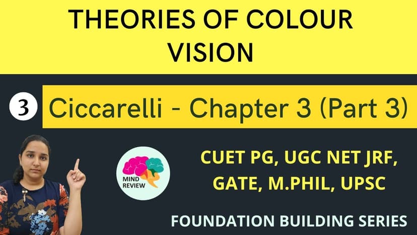 Understanding Color Vision: Theories and Color Blindness Explained | Galaxy